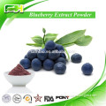 Green Health Blueberry Juice Powder, Blueberry Extract Powder, Blueberry Extract